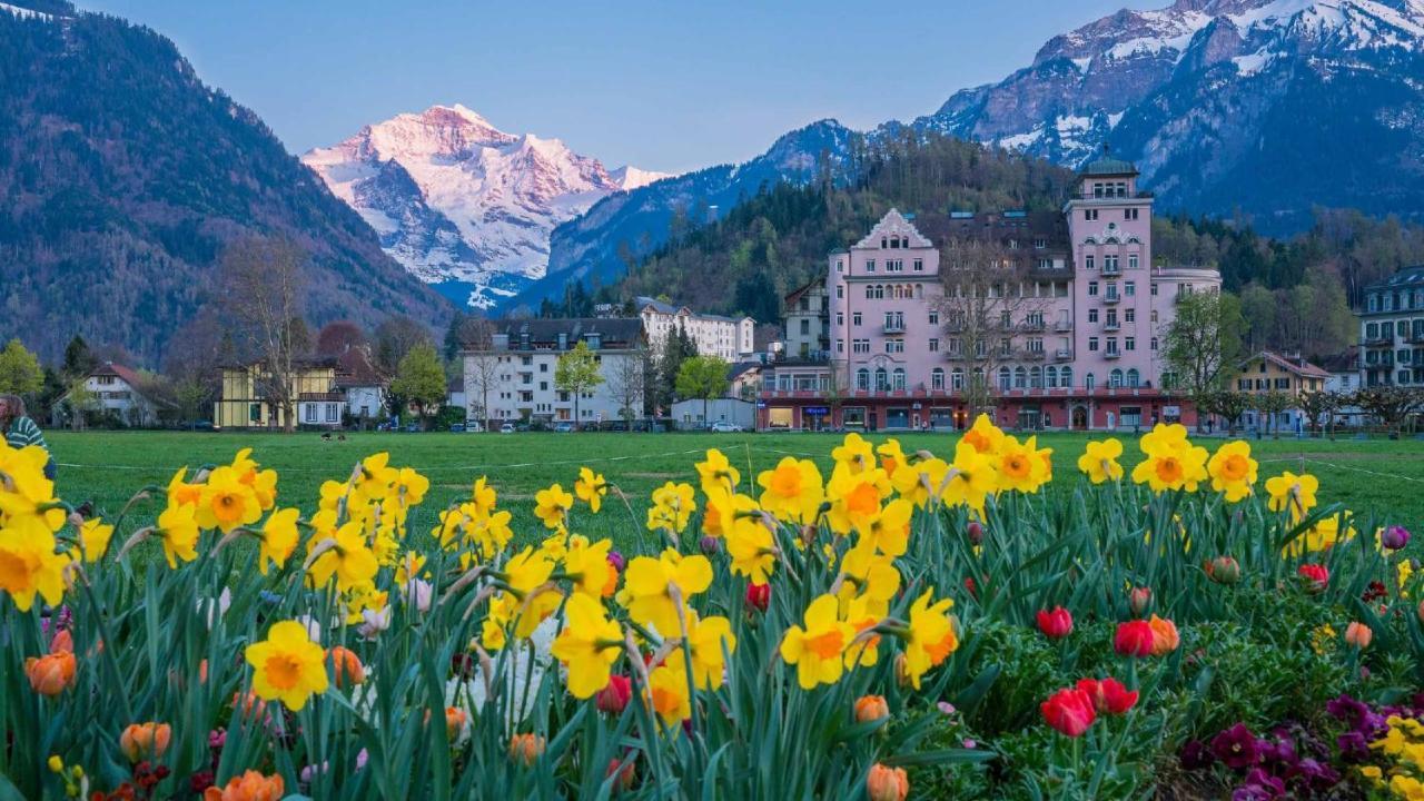 Alscher'S Holiday Home インターラーケン エクステリア 写真